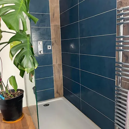 Maison Mitoyenne Avec Jardin A Biarritz